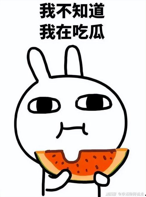 娱乐吃瓜酱送外卖的小波,娱乐吃瓜酱背后的故事